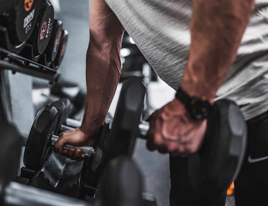 Free Weights WeightSpace